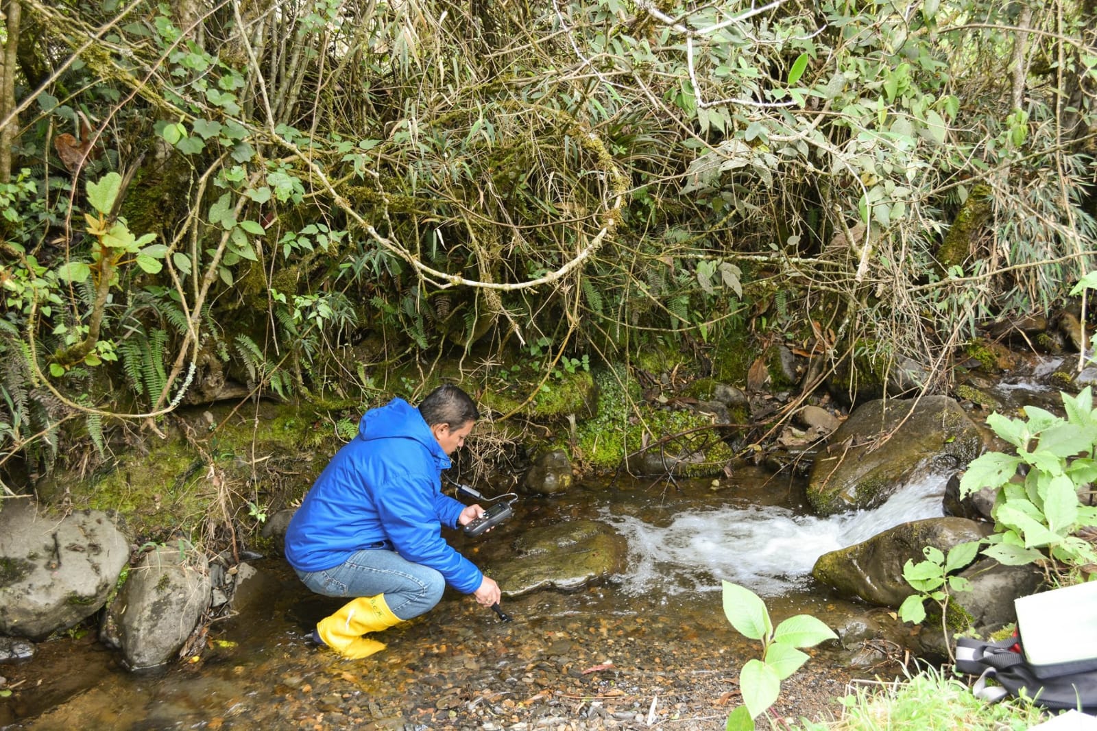 Saneamiento Ambiental