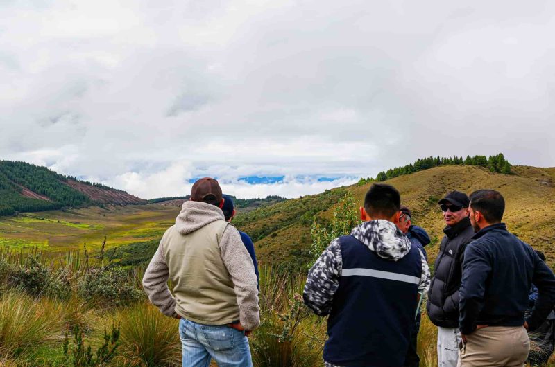Laguna - Saguin